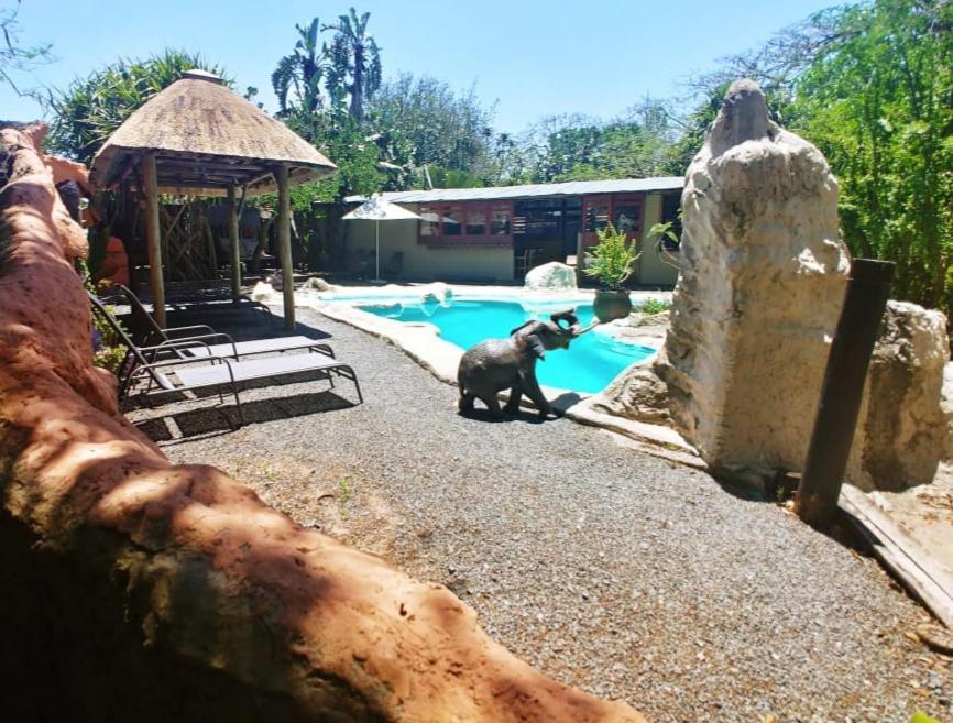 Pumusa Bushcamp Hluhluwe